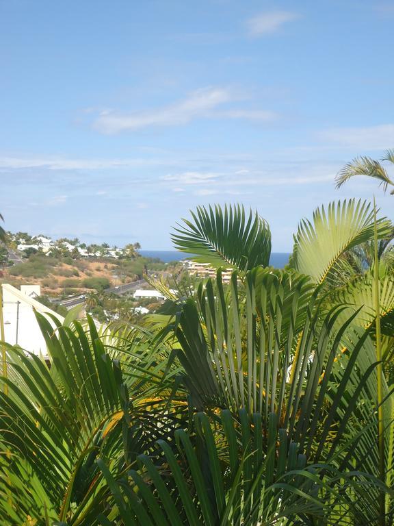 Charmant Studio Saint-Gilles-les Bains Exteriör bild